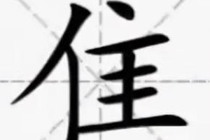 汉语中的“隹”字